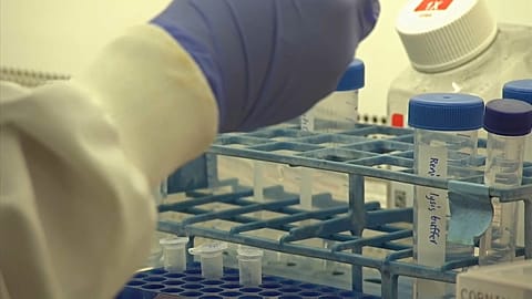 Test tubes in laboratory 