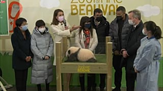 Kyliam Mbappé enthüllte im Parc de Beauval den Namen seines Panda-Patenbabys