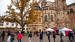 COVID-19