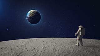 عکس تزئینی است