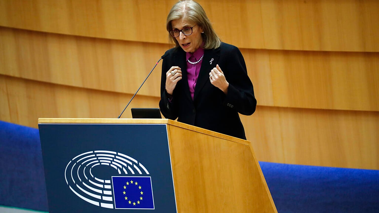 Η Επίτροπος Υγείας Στέλλα Κυριακίδου στο Ευρωκοινοβούλιο - φώτο αρχείου