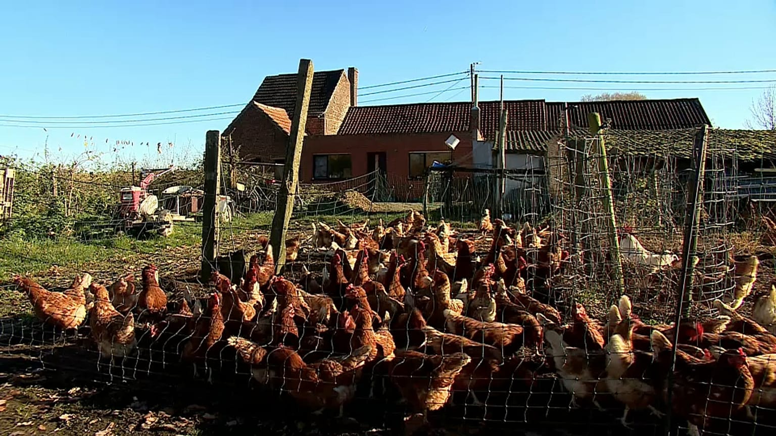Az EU átalakítja a mezőgazdasági támogatások rendszerét