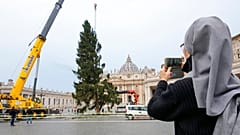 28 Meter hoher Christbaum für den Vatikan