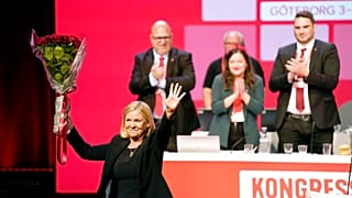 Премьер-министром Швеции впервые стала женщина, но лишь на несколько часов