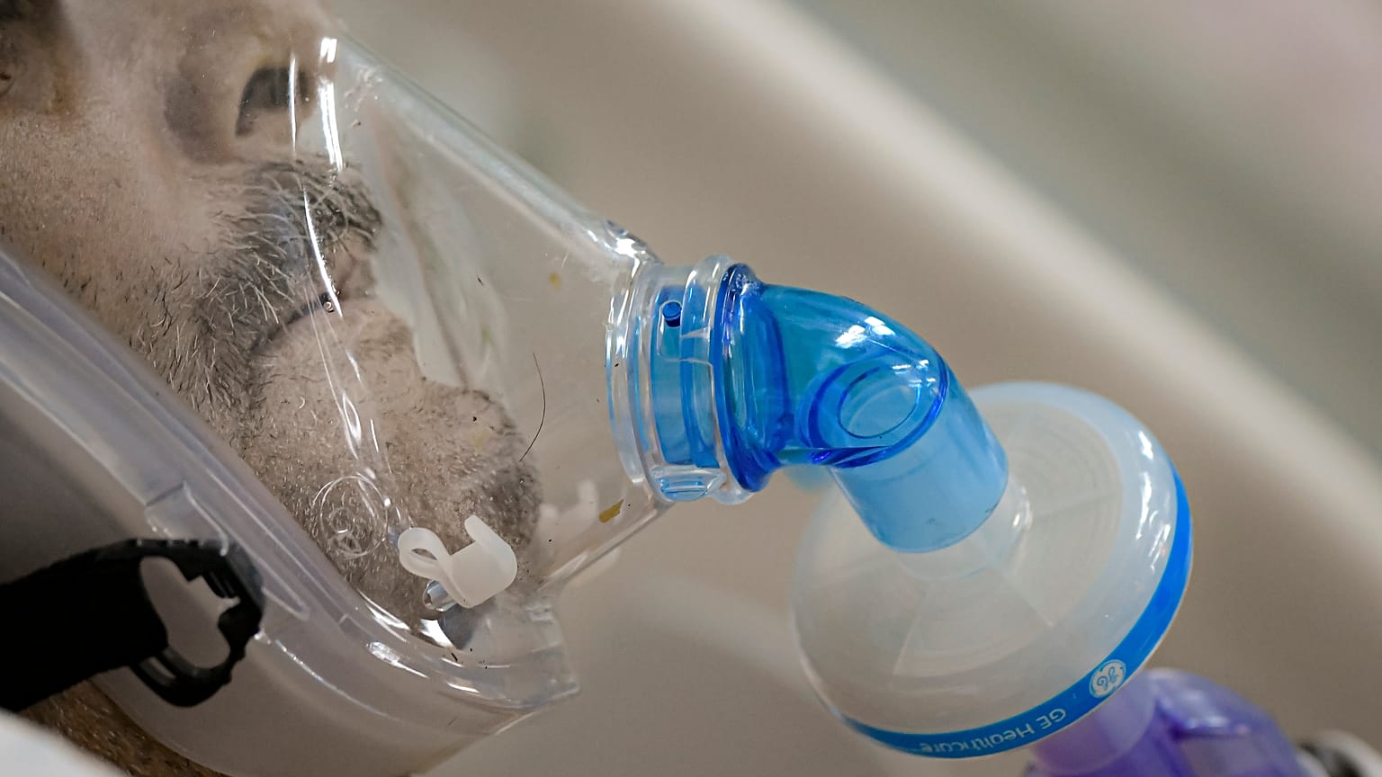 Коронавирус в ЕC: мрачные прогнозы и упор на вакцинацию