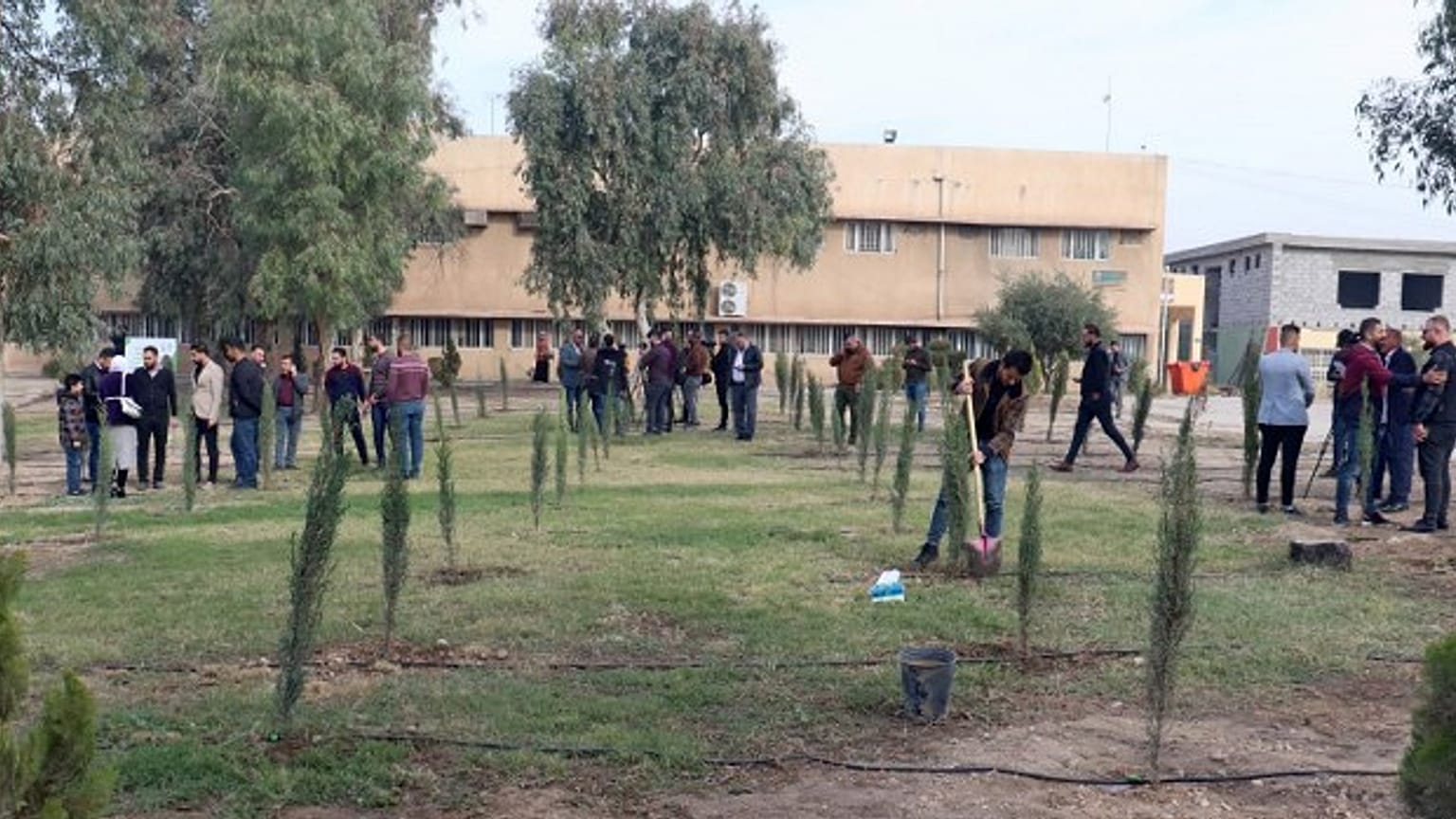 حملة تشجير في الموصل