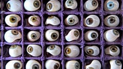 Az I. világháború sebesültjeinek készített műszemek sorakoznak egy dobozban a Háború és gyógyászat című, a drezdai Német Higiéniamúzeumban rendezett kiállításon
