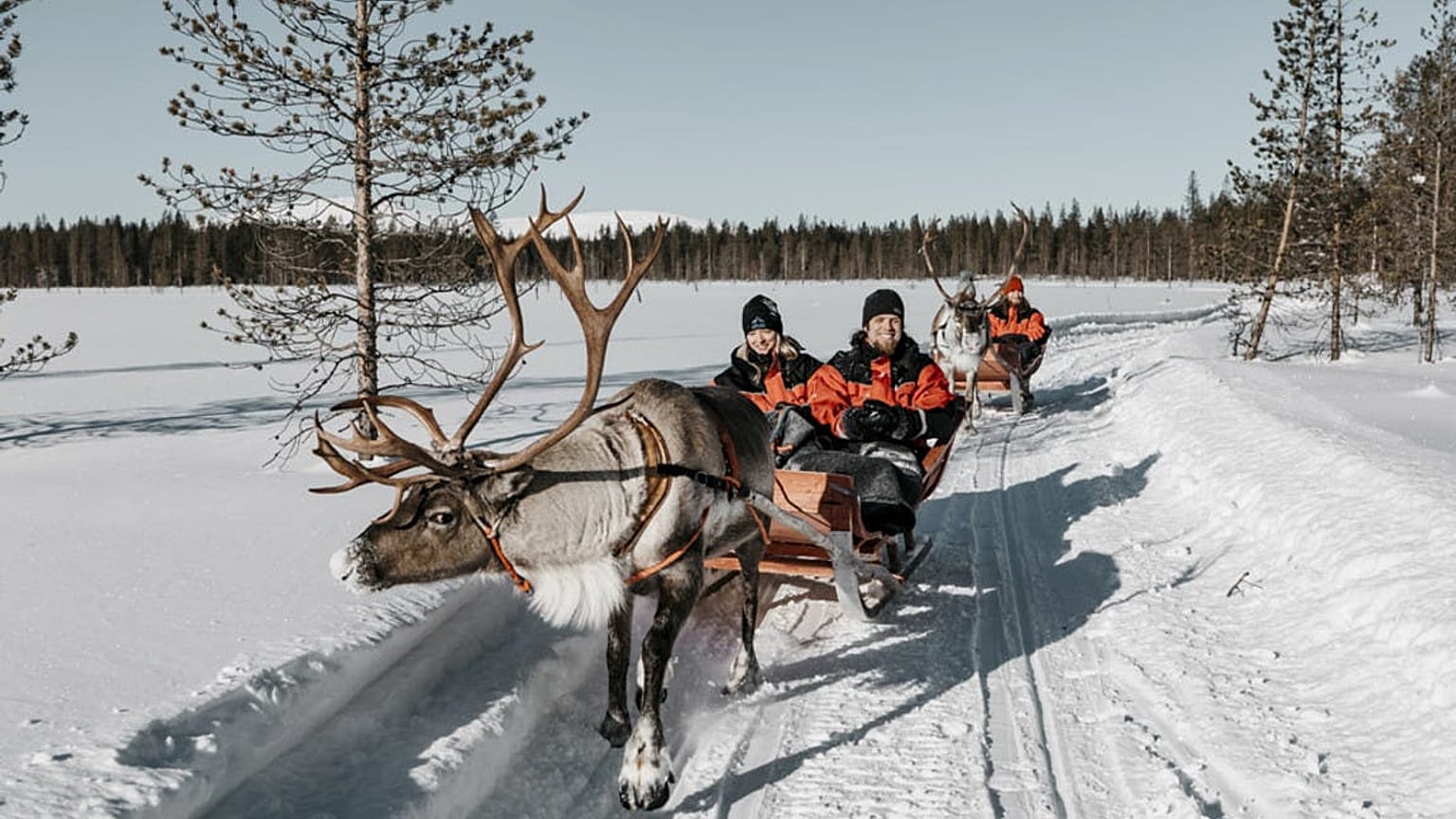 Tourists on reindeer sleigh ride in Finnish Lapland 