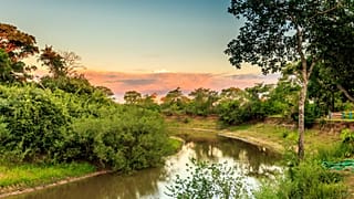 Pantanal wetlands, Brazil