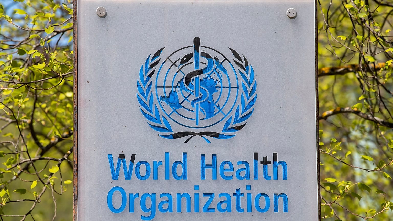 The logo of the World Health Organization, WHO, is displayed at the headquarters in Geneva, Switzerland, April 15, 2020.