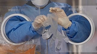 OMS reconhece riscos da Ómicron e pede acordo global contra pandemias