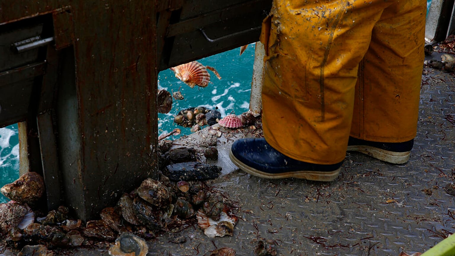 Un pêcheur français, à la limite des eaux franco-britanniques, au large de Granville, Normandie, le 9 novembre 2021