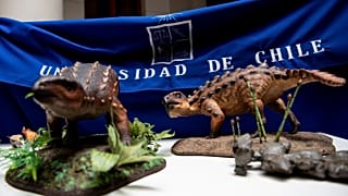 Reproduction du dinosaure, présentée par les équipes de l'université du Chili, à Santiago, le 1 décembre 2021