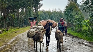 La ONU necesita 41.000 millones de dólares para hacer frente a la urgencia humanitaria
