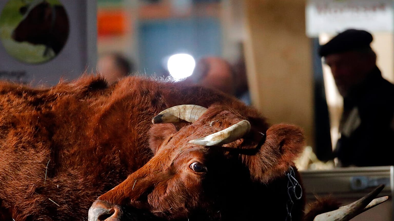 Mit hoz a gazdáknak az uniós agrárreform? 