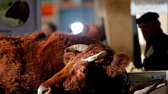 Detractores y defensores de la Política Agrícola Común