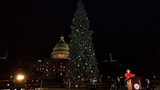 Árbol de Navidad del Capitolio