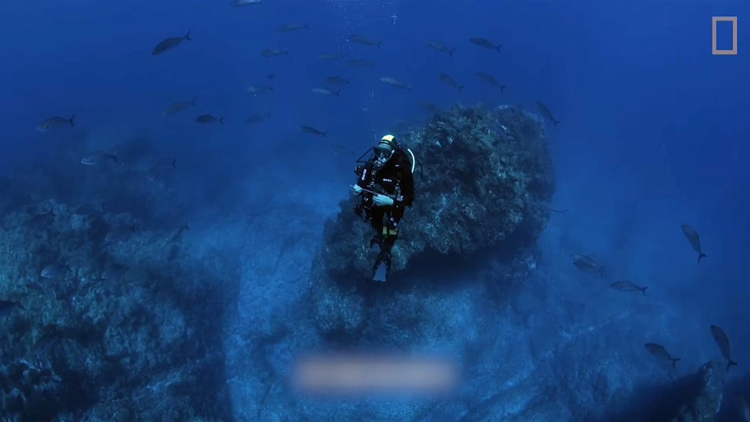 Un plongeur explore les fonds des îles Selvagens