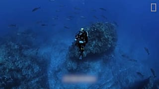 Un plongeur explore les fonds des îles Selvagens
