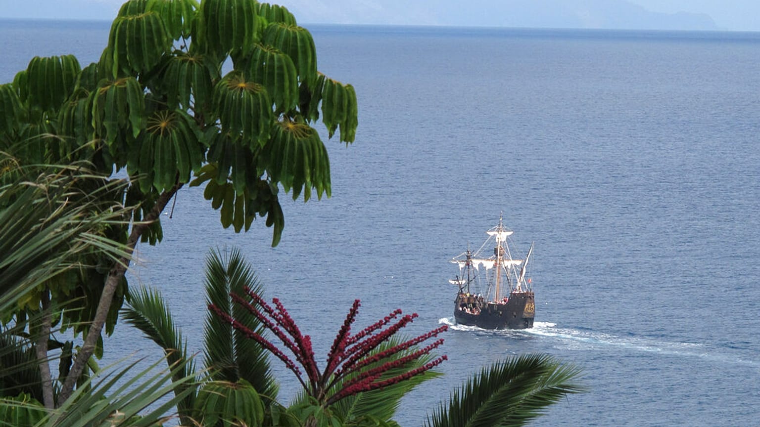 Die Selvagens-Inseln gehören geografisch zu Madeira