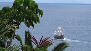 Die Selvagens-Inseln gehören geografisch zu Madeira