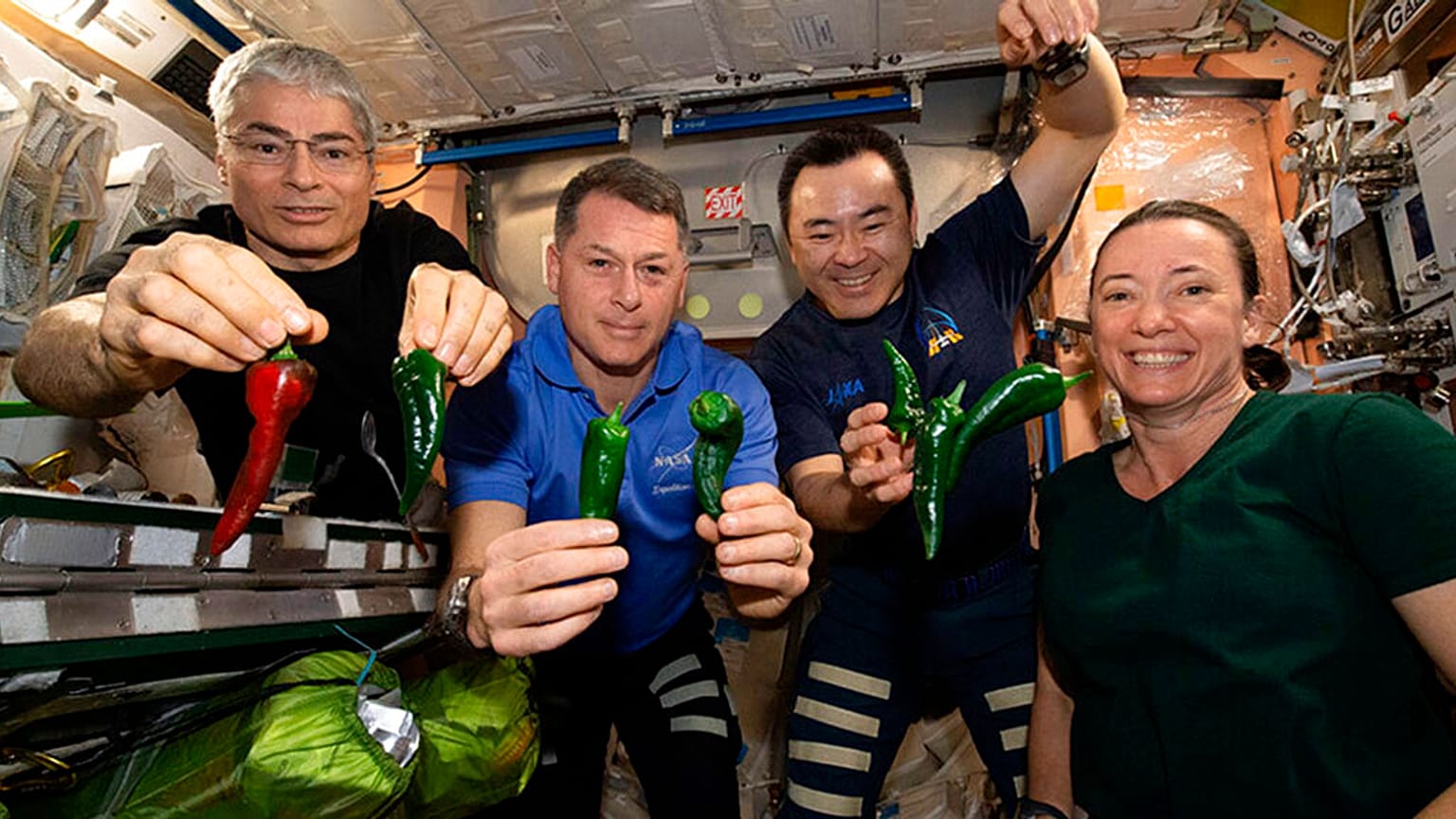 Astronaut:innen Mark Vande Hei, Shane Kimbrough, Akihiko Hoshide und Megan McArthur an Bord der ISS mit selbstgezüchteten Chilischoten, 05.11.2021