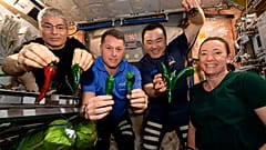 Astronaut:innen Mark Vande Hei, Shane Kimbrough, Akihiko Hoshide und Megan McArthur an Bord der ISS mit selbstgezüchteten Chilischoten, 05.11.2021