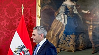 كارل نيهامر مستشار النمسا الجديد
