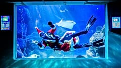 Un sommozzatore travestito mentre pulisce il vetro dell'acquario Sea Life di Berlino, Germania