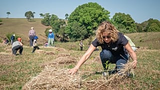 Welsh households are being offered free trees