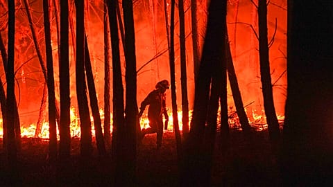 Fresh wildfires rip through woods near Oleiros, Portugal in September this year