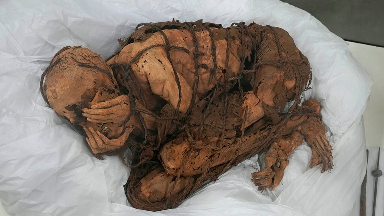 Momia en posición fetal