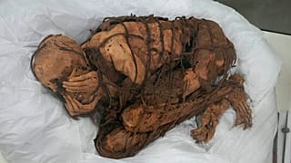 Momia en posición fetal