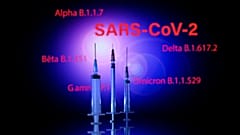  shows a syringe and a screen displaying the SARS-Cov-2 mains variants : Alpha, Beta, Delta, Gamma and Omicron, in Toulouse