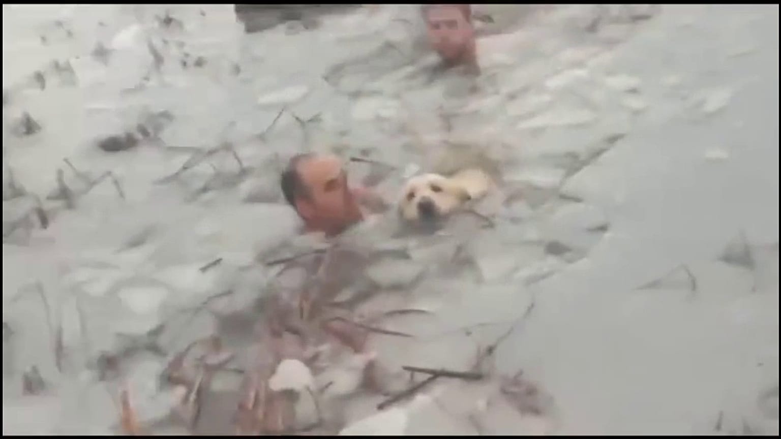 Los agentes sacando al labrador del lago helado. 