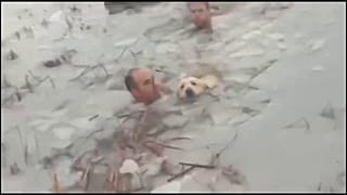 Los agentes sacando al labrador del lago helado.