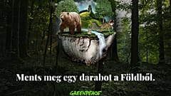 A karácsonyi kampány fotója