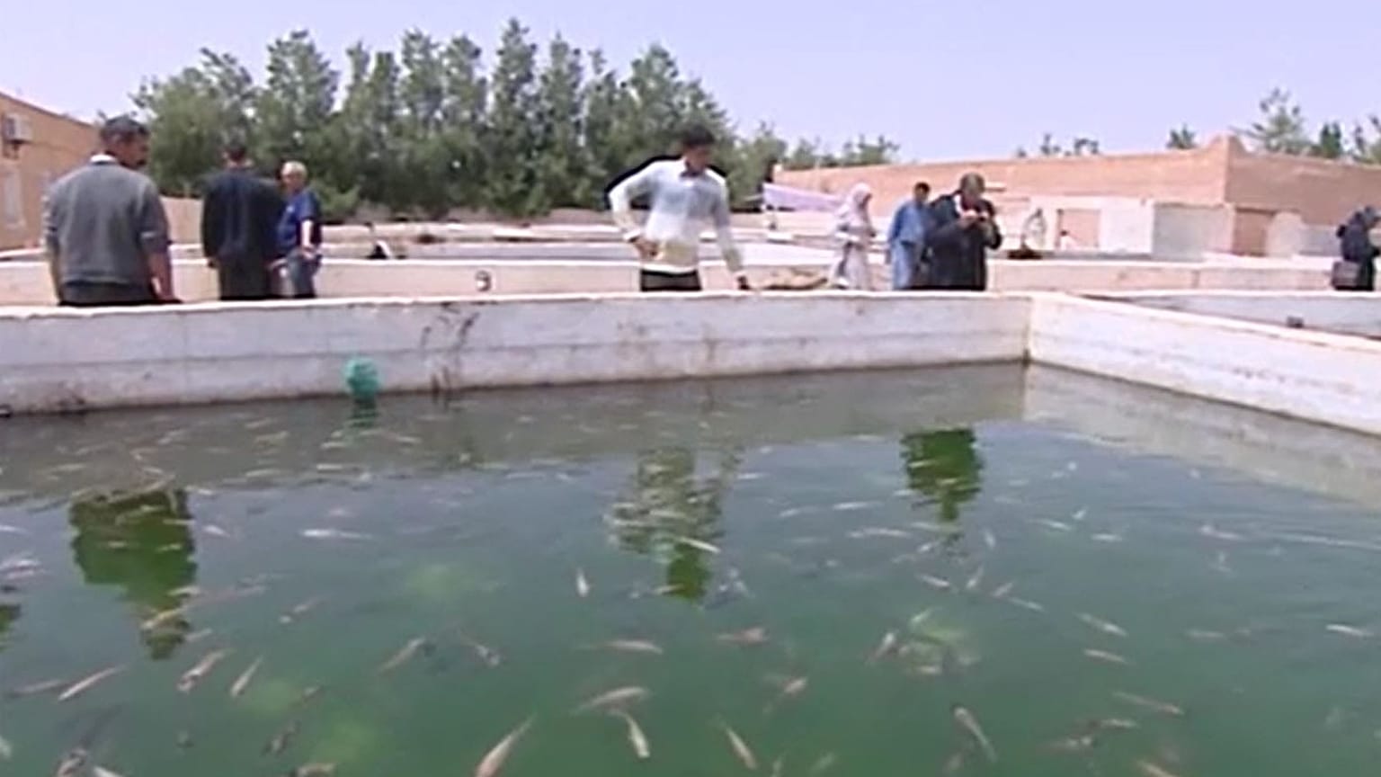 سكان كهوف باميان