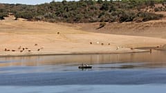 Reserva do Pego do Altar, no rio Sado, em 2017