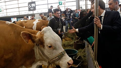 France's President Emmanuel Macron, right, visits the International Agriculture Fair in Paris, February 2019