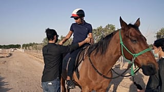 Hippotherapy session