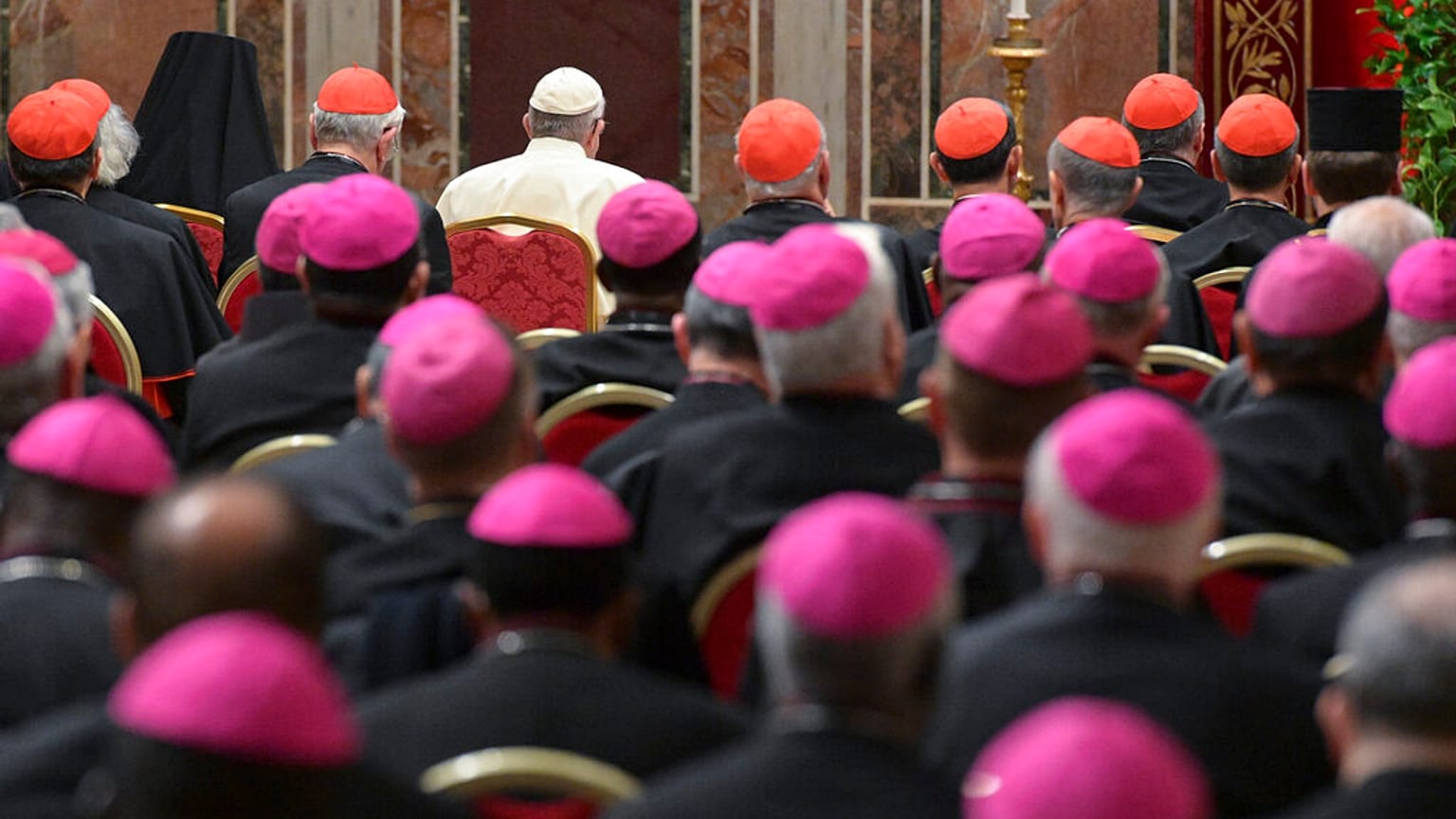 Papa Francesco e i porporati di spalle
