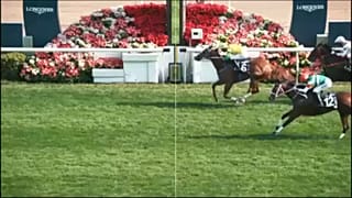 A Hongkongi Sprint vágta befutója a célfotón