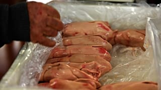 Delikatesse in Frankreich: Gänse-Stopfleber