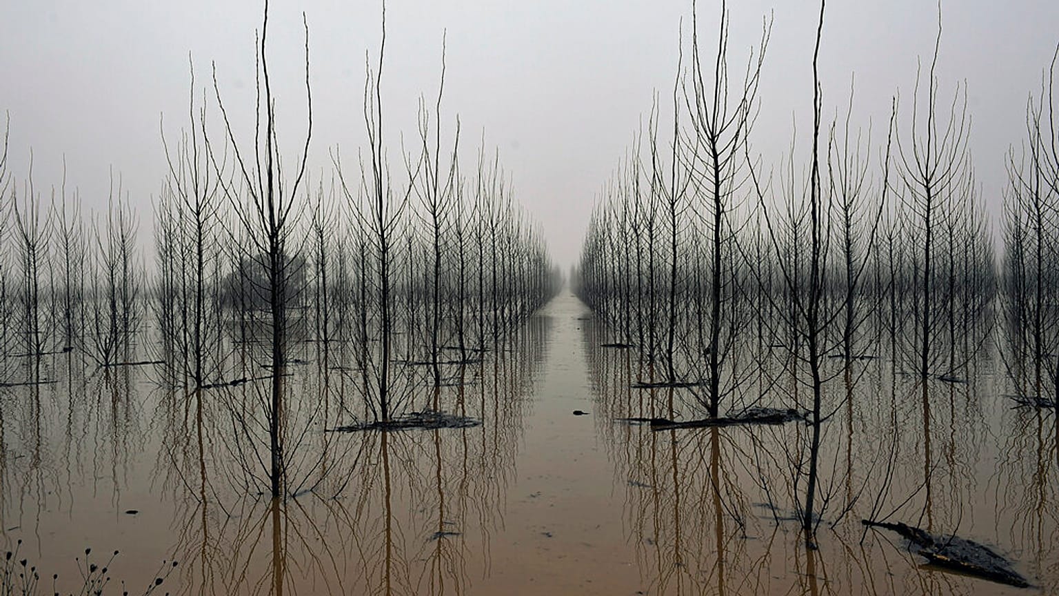 Inundación en Alcalá de Ebro, España