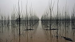 Inundación en Alcalá de Ebro, España