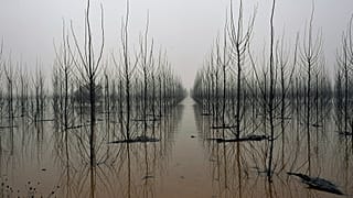 Inundación en Alcalá de Ebro, España