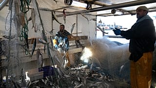 Ministros europeus das pescas entendem-se sobre capturas em 2022