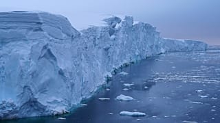 Scientists have warned there is going to be dramatic change in the front of the glacier.