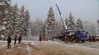 90-летнее дерево готовят к перевозке